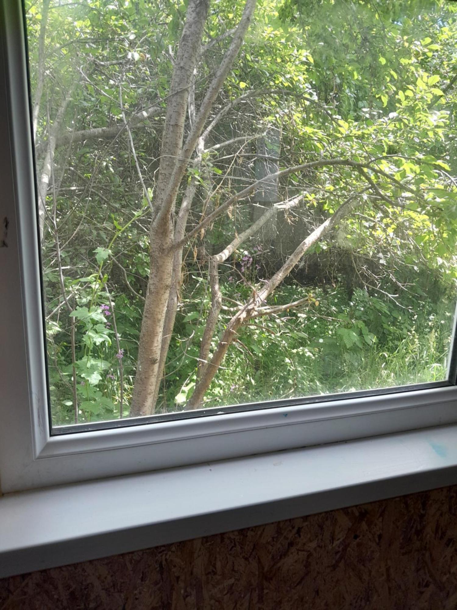 Waterfall In The Yard 카라콜 외부 사진
