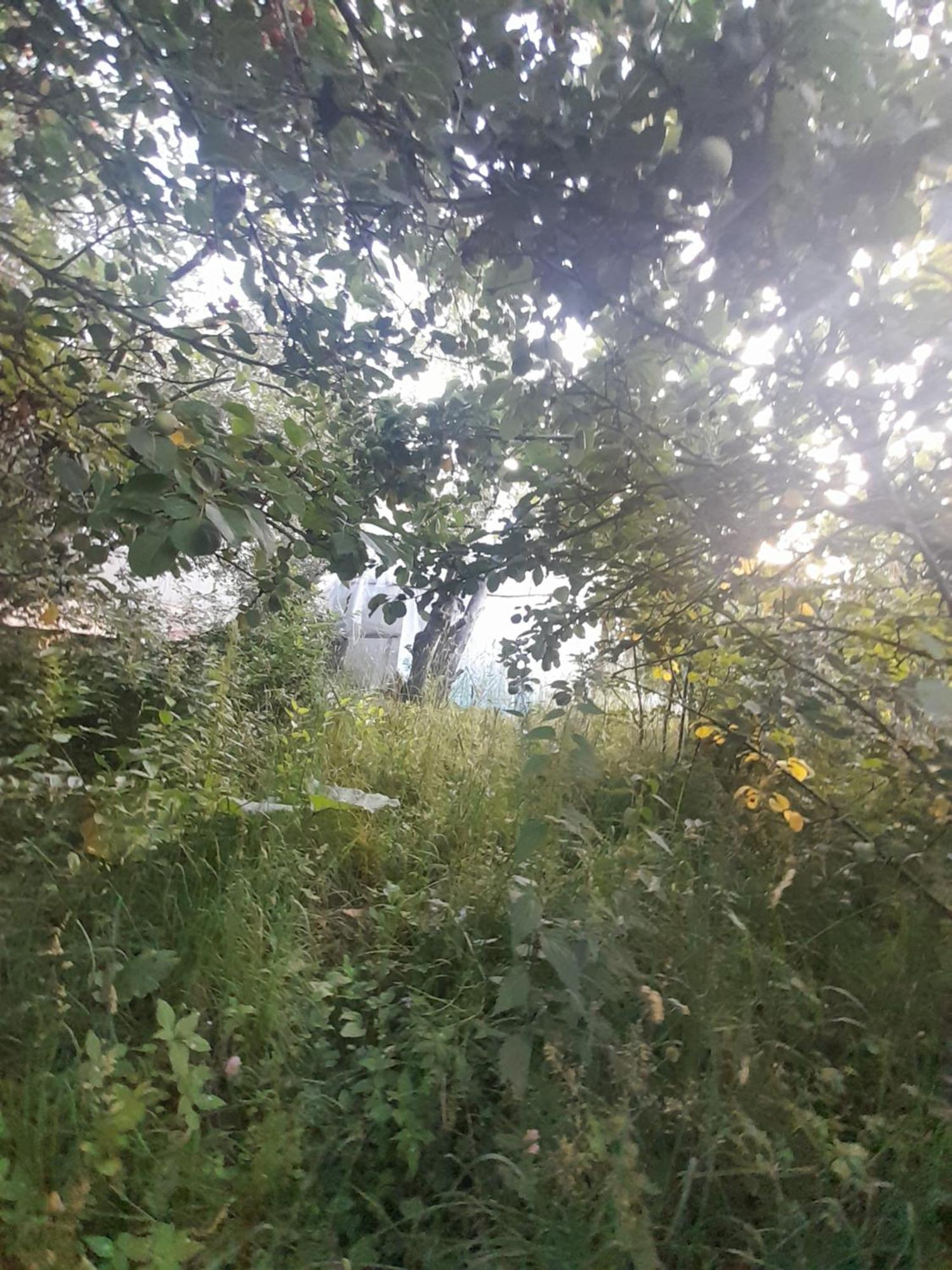 Waterfall In The Yard 카라콜 외부 사진